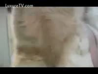 Furry dog banging a beastie gal